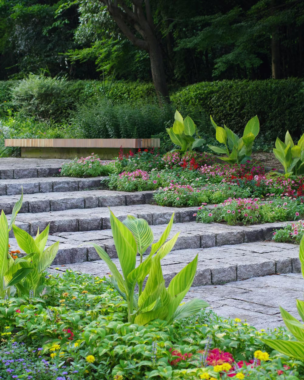 Stone garden steps bordered by seasonal flower beds