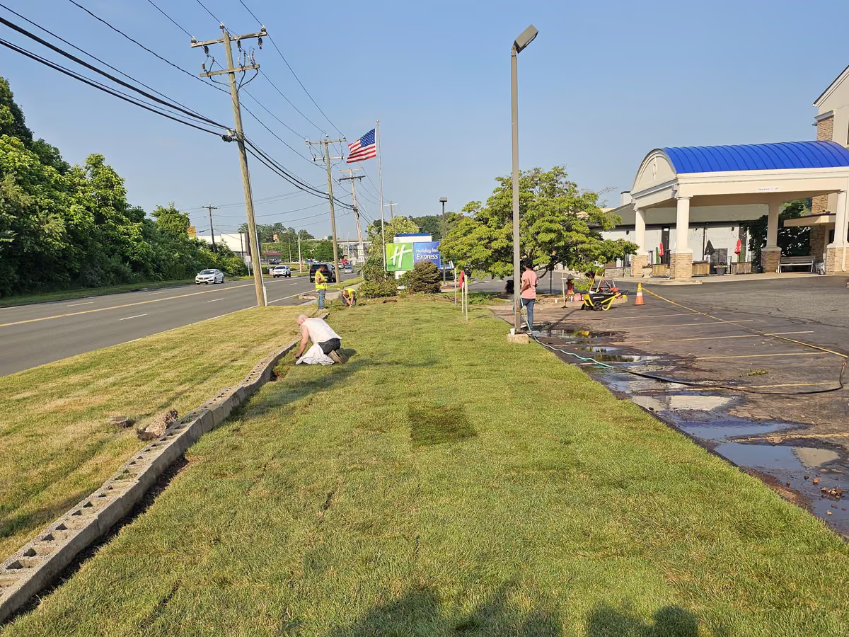 Crew installing fresh sod on a sloped lawn at a commercial property