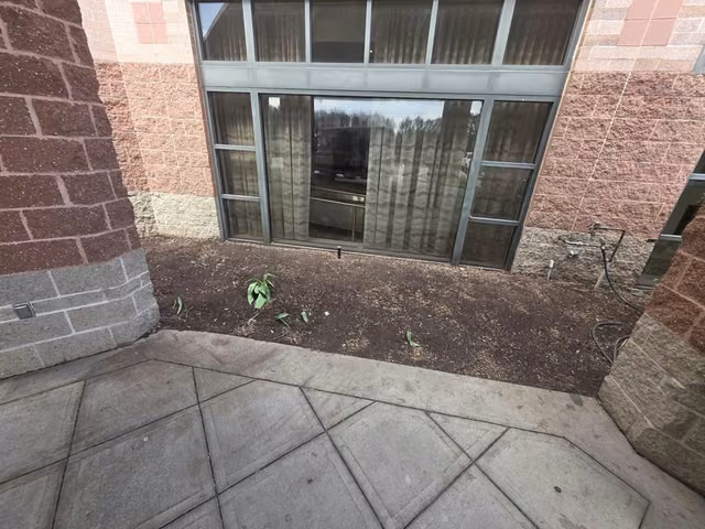 The same bed cleared and edged to bare soil, ready for planting