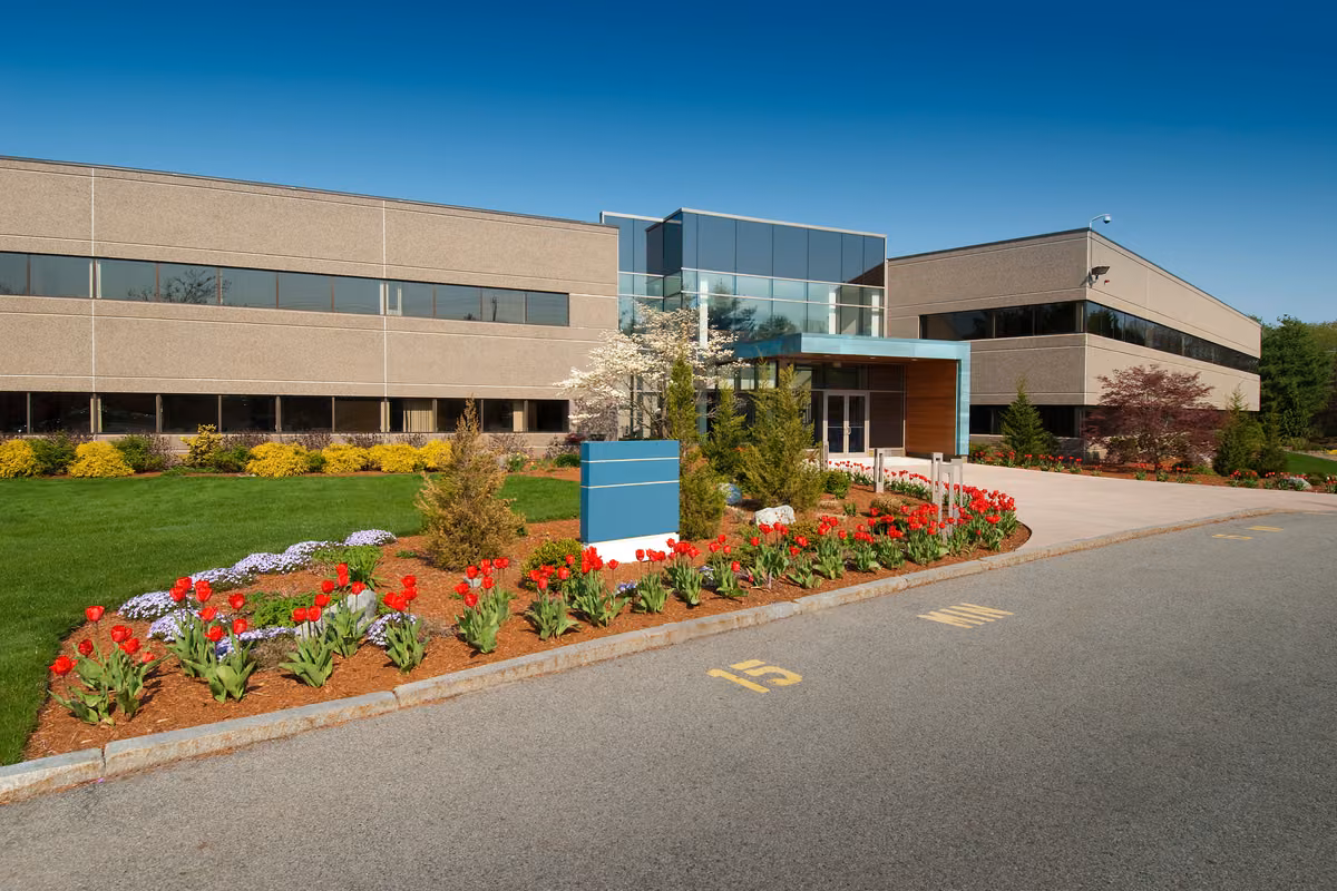 Commercial office entrance with red tulip beds, manicured lawn, and a flowering tree