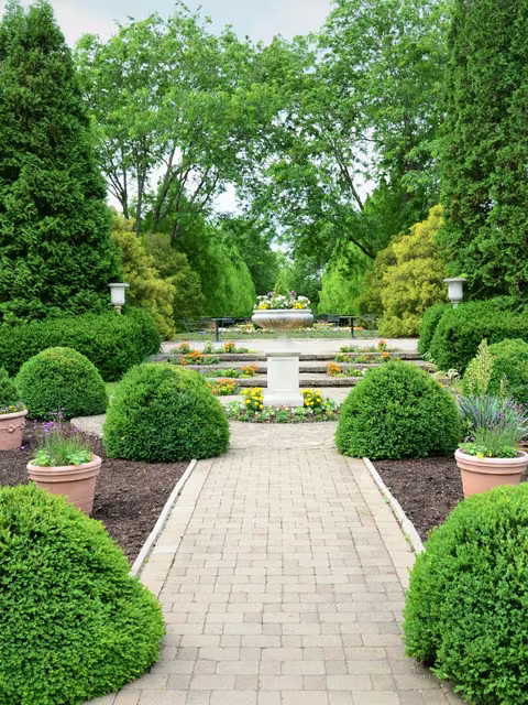 Formal garden with a paver walkway, clipped boxwood spheres, and stone urn planters