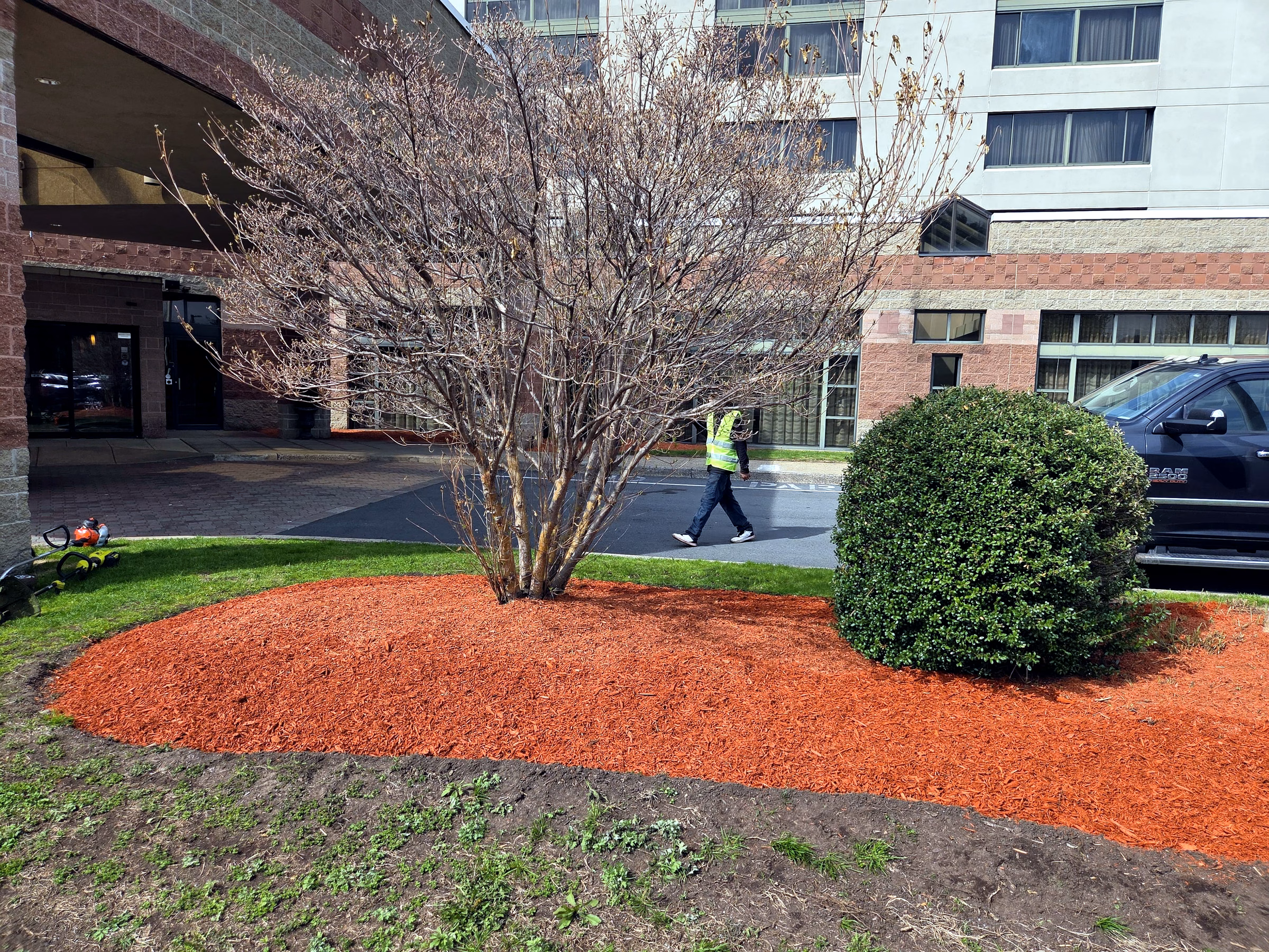 Spring — fresh mulch going down at the hotel entry in April